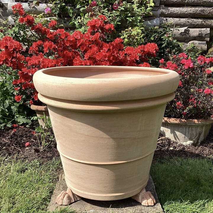 Trombo pots with trees