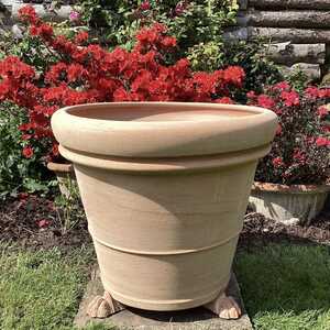 Trombo pots with trees