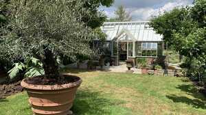 Vaso Imprunetino creating shade in a garden