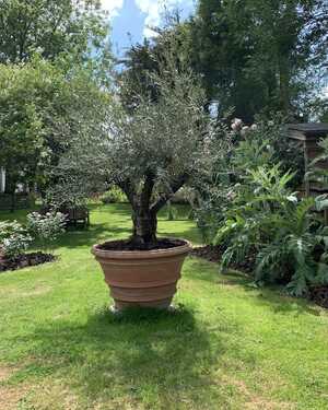 Vaso Imprunetino Vaso Imprunetino