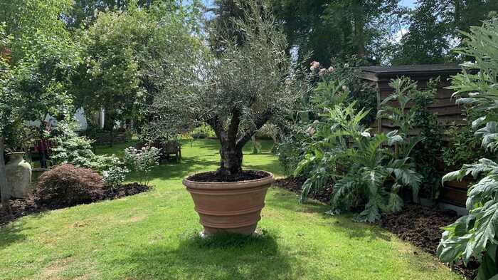 Cilindro Liscio terracotta planter