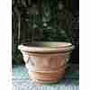 Low Terracotta Pots