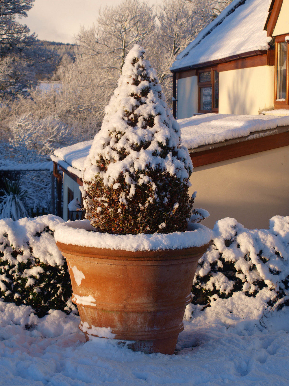 Protect Your Pots This Winter Mud Mountain Handmade Italian