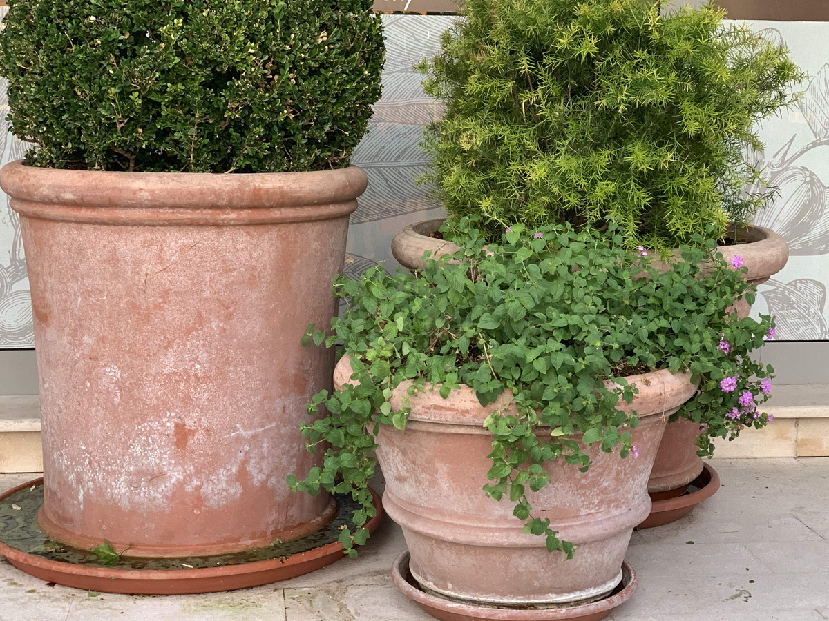 Terracotta Pots & Planters Gallery Mud Mountain Hand Made Italian Terracotta Pots, Vases and