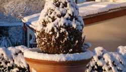 Protect Your Pots This Winter