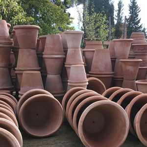 Terracotta Pots & Planters