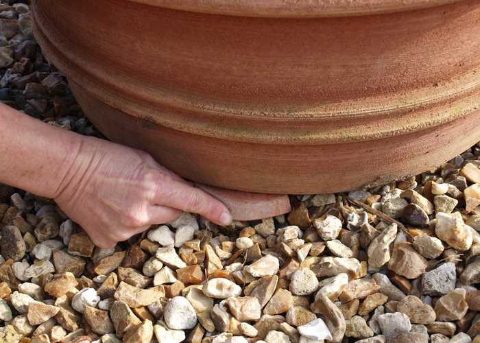 Frost Protection and Planting Advice Mud Mountain Hand Made Italian